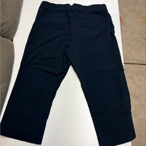 Briggs New York Deep Blue Capri pants.